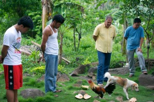 Our Executive Director, Steve Wheeler, is in a coconut grove along with our Field Director in the Philippines praying with the local pastor and members of his church.