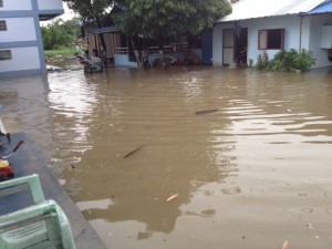 The grounds of the institute flooded by the Monsoon Rains