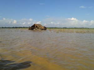 The fields are wiped out by the flood.