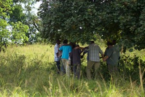 A group of us gathered under a tree in Katonya village to pray for the beginning of a new church in the region of Rukungiri, Uganda.